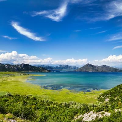 Skadar Lake Large